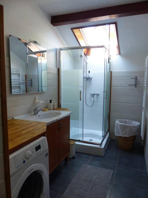 Appartement Dans Maison Brié-et-Angonnes Dış mekan fotoğraf